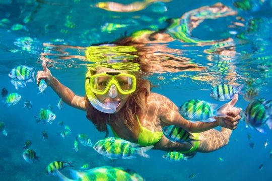 Private Half-day Motorboat Tour to Rose Island Beach to Snorkel a Coral Reef!