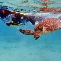 Snorkeling