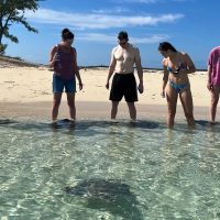 Full-day Tours