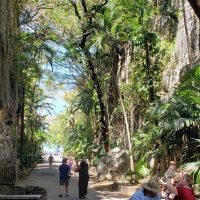Bus & Minivan Tours