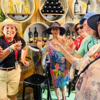 Wine Tasting & Winery Tours