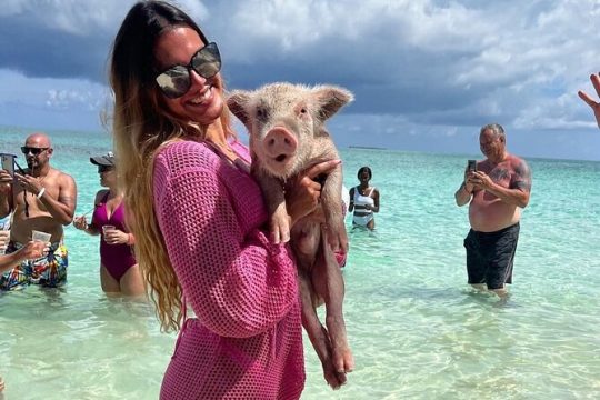 Bahamas Swimming Pigs & City Tour Excursion with Lunch