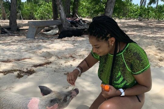 Swim with Pigs, Turtles & Snorkel. Lunch, Drinks pickup & dropoff