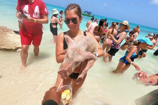 Full-Day Luxury Private Rose Island Pigs and Turtles Excursion