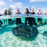 Cruises, Sailing & Water Tours