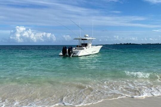 Private Full Day Exuma Adventure with Swimming Pigs, Grotto and Sandbar