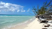 Amazing tour of the East end of Grand Bahama Island