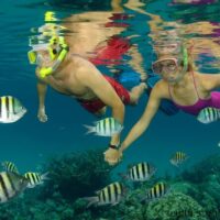 Shore Excursions