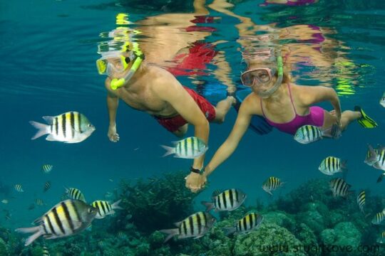 Nassau Shore Excursion: Bahamas Snorkel Adventure