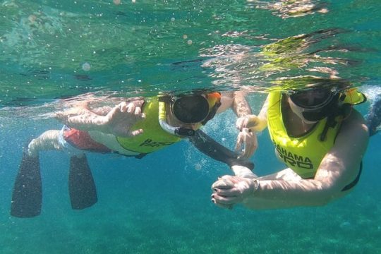 Small-Group Snorkeling Experience at Sea Garden