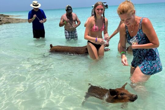 Afternoon - Snorkeling and All-Inclusive Beachclub Experience