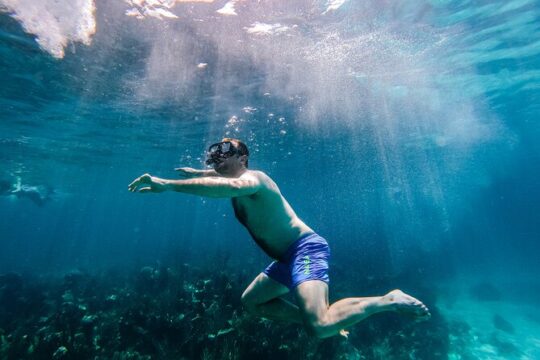 Swimming with Turtles, Snorkeling Reef and Beach Combo Tour