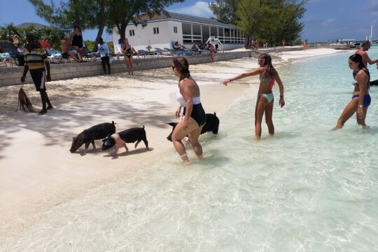 4 hour Private Rose Island tour Snorkeling fishing