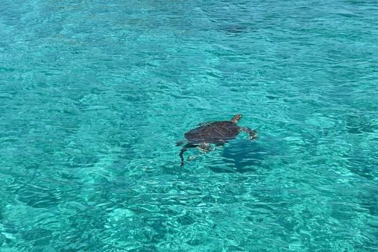 Good Friday in Bahamas