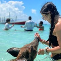 Cruises, Sailing & Water Tours