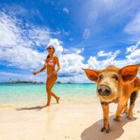 Day Trips & Excursions
