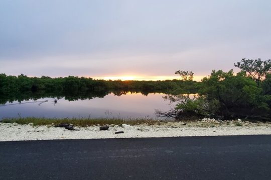 Unforgettable Land Tour on Long Island Bahamas