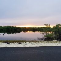 Hiking & Camping