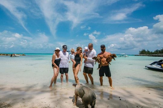 Swim with the Pigs! Half Day Harbour Island Private Boat Tour