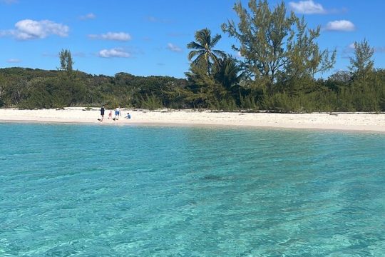 Private Eleuthera Swimming Pigs, Turtles and Pink Sand Beach