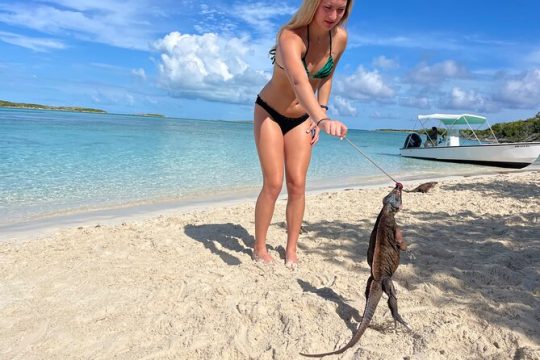 Private Exuma Swimming Tour with Lunch at the Beach Bar