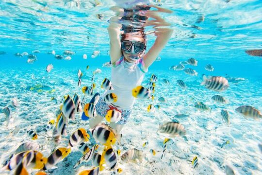 Reef Glass Bottom & Snorkel Tour