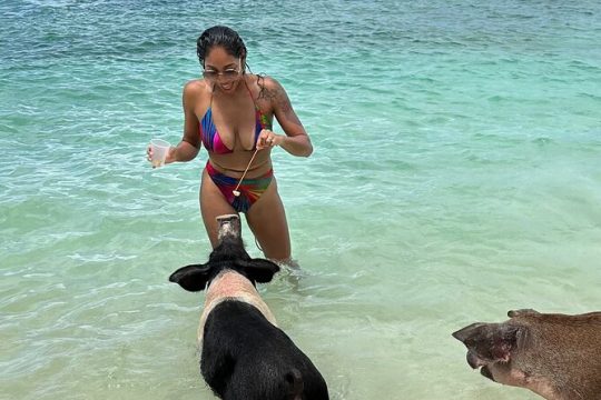 Bahamas Bliss Sailing Catamaran Adventure Swimming Pigs too