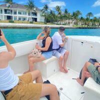 Swim with Dolphins