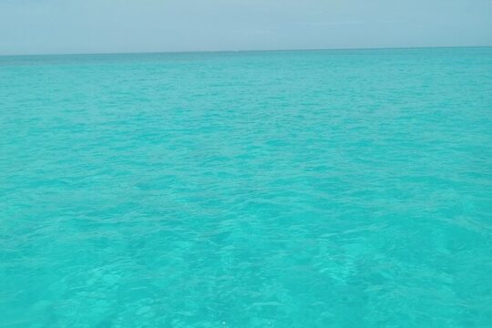 Private speed boat beach and bar hopping visiting Rose island