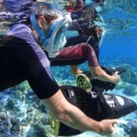 Shore Excursions
