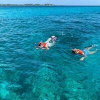 Eco Tours