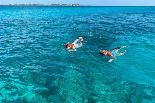 5 Hours Pigs and Turtles with Beach Stop in Bahamas
