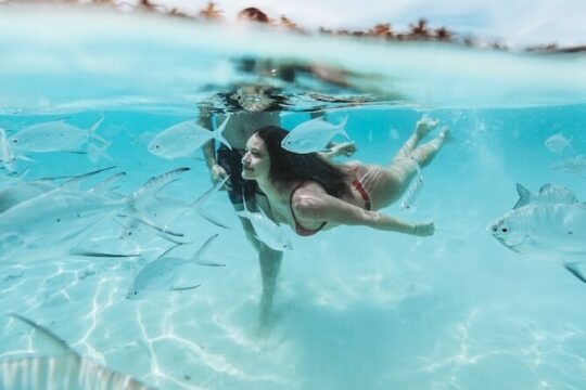 Private Island Getaway Kayak, Snorkeling, Tropical Drinks, Beach