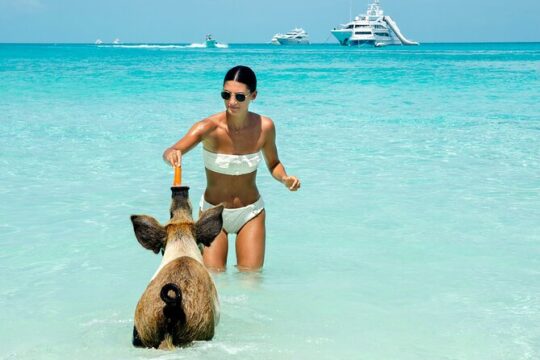 Pigs Beach and Snorkeling Adventure Group Tour Nassau