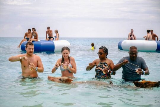 Swimming Pigs Water Taxi Nassau Bahamas