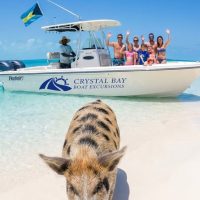 Boat Tours
