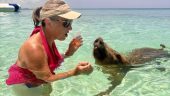 Well worth it, beautiful remote island and pigs so cute
