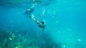 Fun Bahamian sailing tour