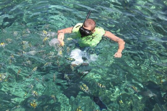 All Inclusive Sailing and Snorkeling Half Day Trip in Bahamas
