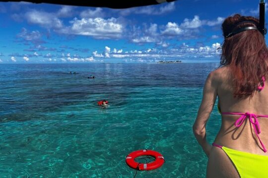 All Inclusive - Swimming Pigs Private Charter