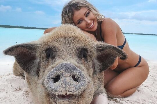 Private Swimming Pig Beach Day 50ft Sun Seeker Yacht 1-10 Guests