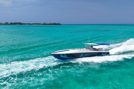 Nassau Snorkeling, Turtle Spotting and Sunset Dinner tour