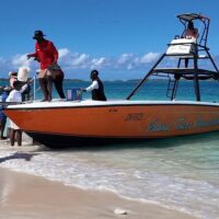 Water Transfers