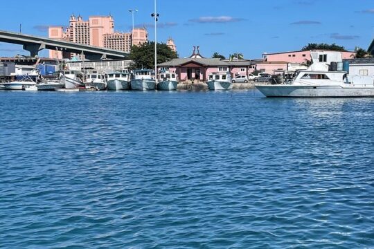 Bahamas Swimming with the Pigs in Crystal Blue Waters