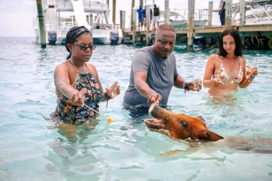 Rose Island Swimming Pigs and Beach Bliss