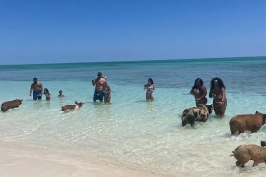 Halloween in Grand Bahama Island