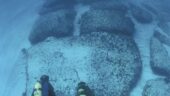 Glass bottom boat ride!!!